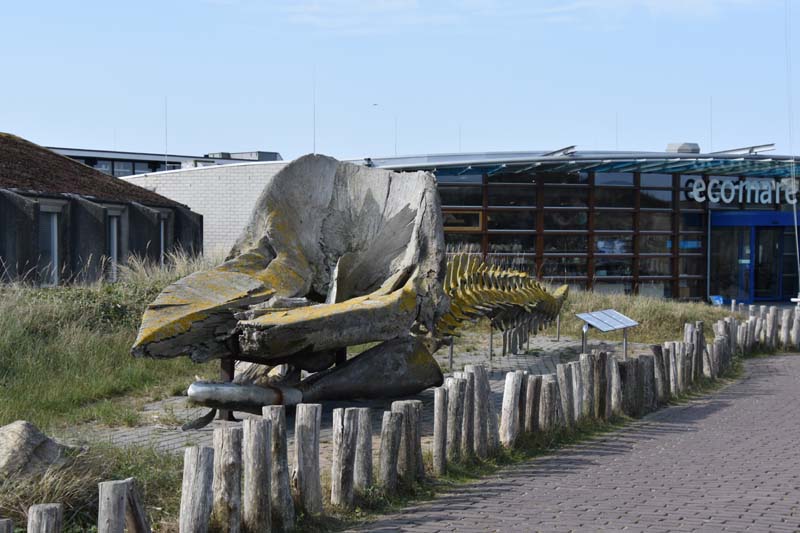 19-04-18_Holl_0180_GA2_8941