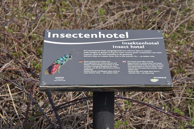 19-04-18_Holl_0181_GA2_8942