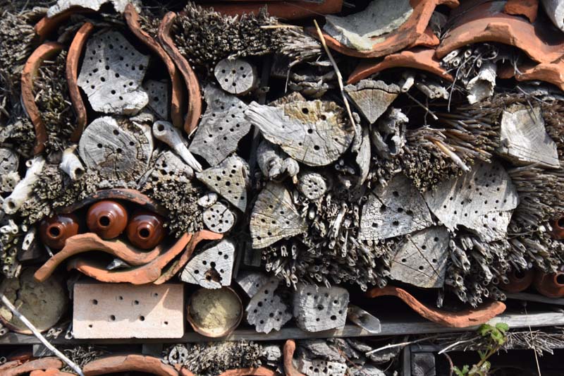 19-04-18_Holl_0182_GA2_8943