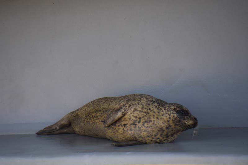 19-04-18_Holl_0204_GA2_8955