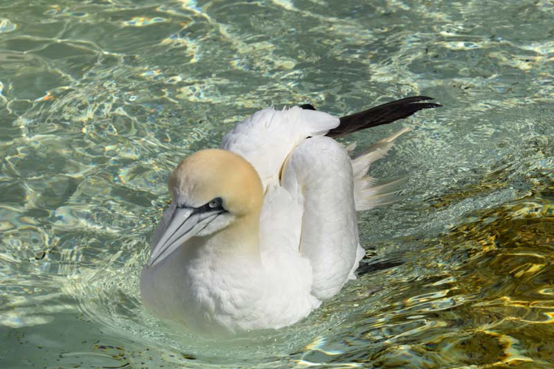 19-04-18_Holl_0425_GA2_9044