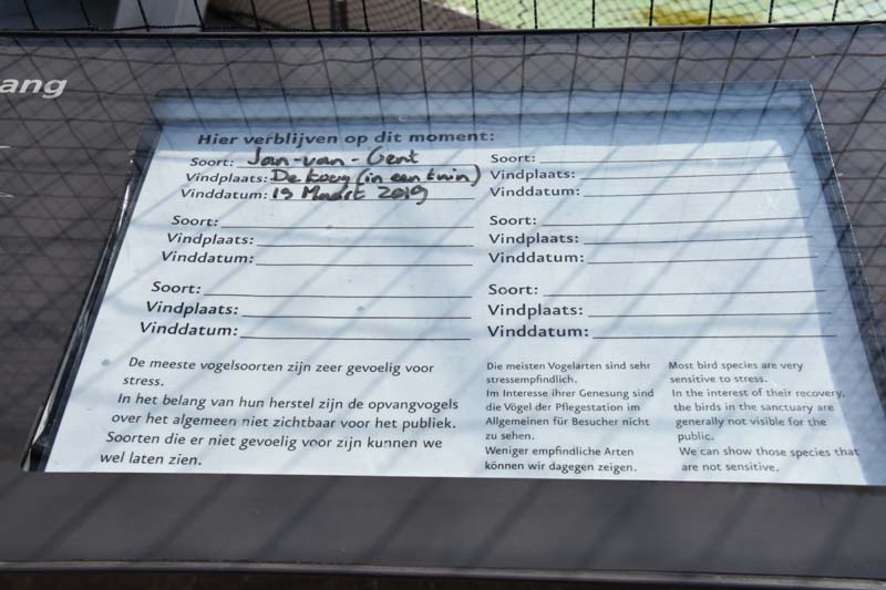 19-04-18_Holl_0435_GA2_9048