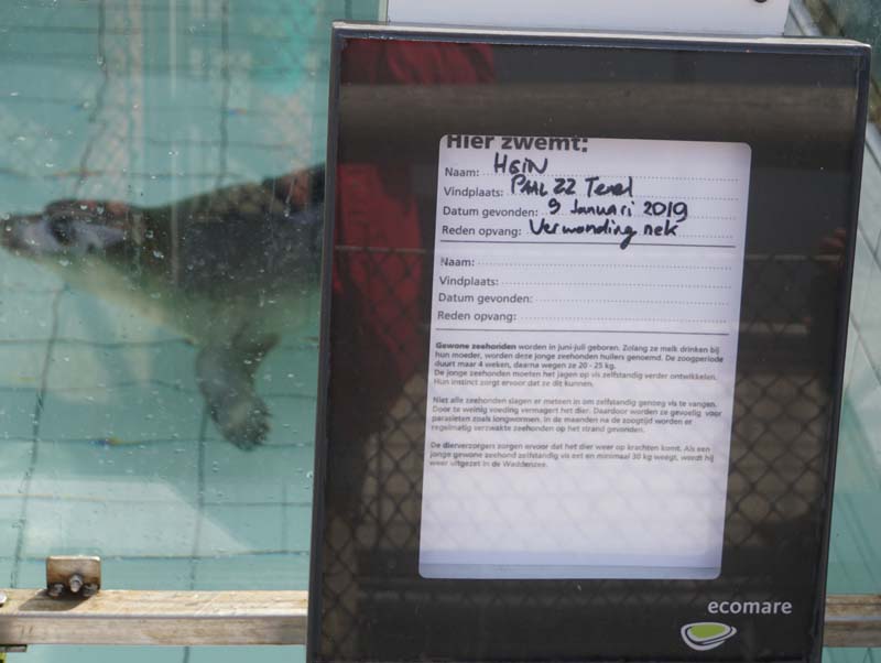 19-04-18_Holl_0444_LeS_04041-aus