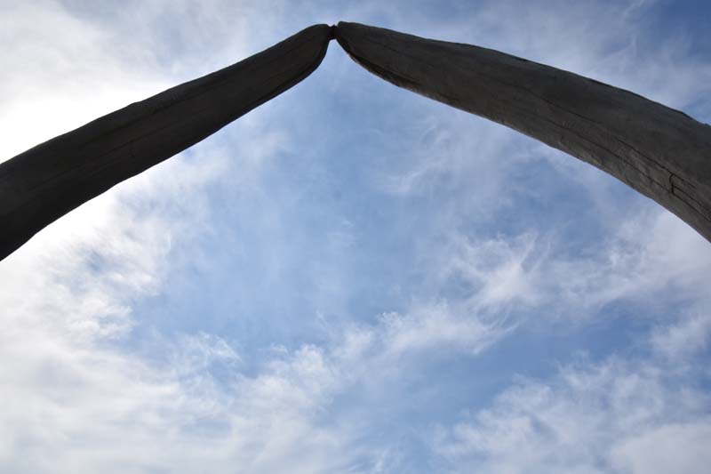 19-04-18_Holl_0500_GA2_9078