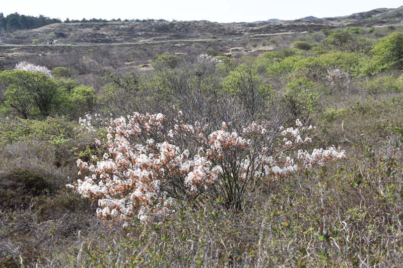 19-04-18_Holl_0517_GA2_9089