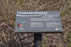 19-04-18_Holl_0181_GA2_8942