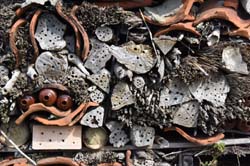 19-04-18_Holl_0182_GA2_8943