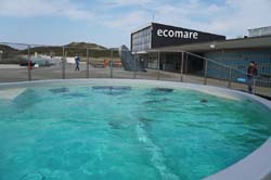 19-04-18_Holl_0189_LeS_03872