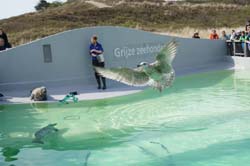 19-04-18_Holl_0238_LeS_03908