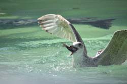 19-04-18_Holl_0272_GA2_8974