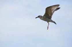 19-04-18_Holl_0311_GA2_8988