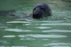 19-04-18_Holl_0350_GA2_9005