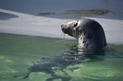 19-04-18_Holl_0352_GA2_9007