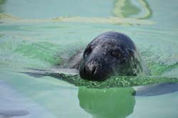 19-04-18_Holl_0380_GA2_9022