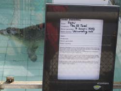 19-04-18_Holl_0444_LeS_04041-aus