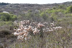 19-04-18_Holl_0517_GA2_9089