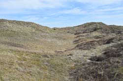 19-04-18_Holl_0522_GA2_9091